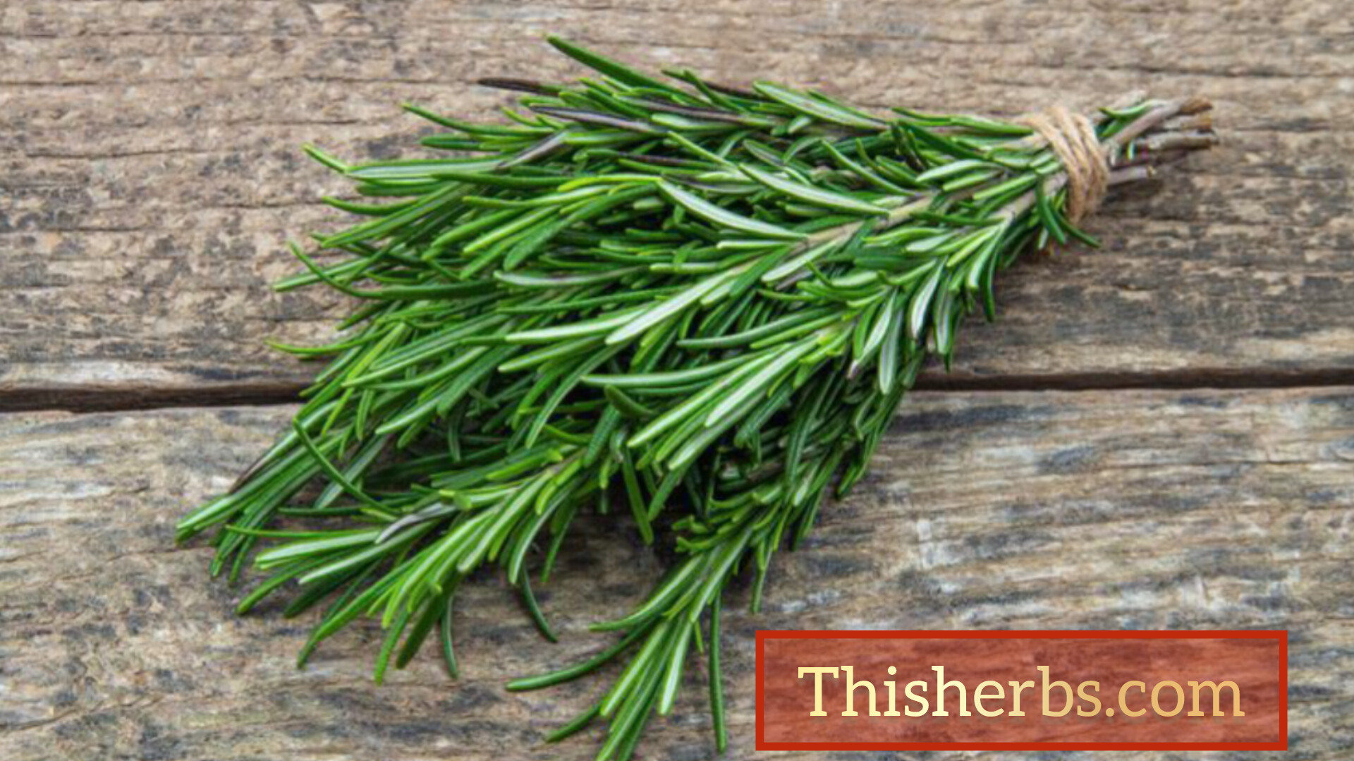 Rosemary: A Comprehensive Guide to Its Benefits, Uses, and History